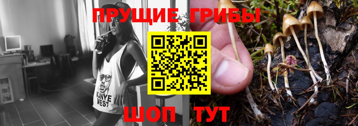 Алапаевск  Галлюциногенные грибы Psilocybe  Вход с VPN  Галлюциногенные грибы прущие грибы 