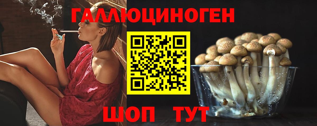 Псилоцибиновые грибы прущие грибы Алапаевск